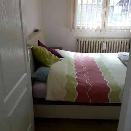 Sokobanja Apartmani Appartamento *