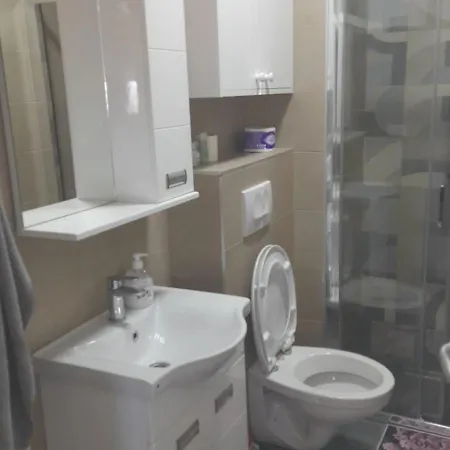 Sokobanja Apartmani Appartement