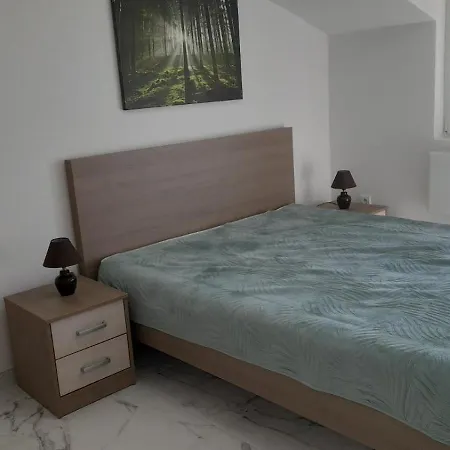 Sokobanja Apartmani Appartement *