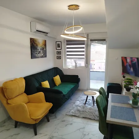 Sokobanja Apartmani *