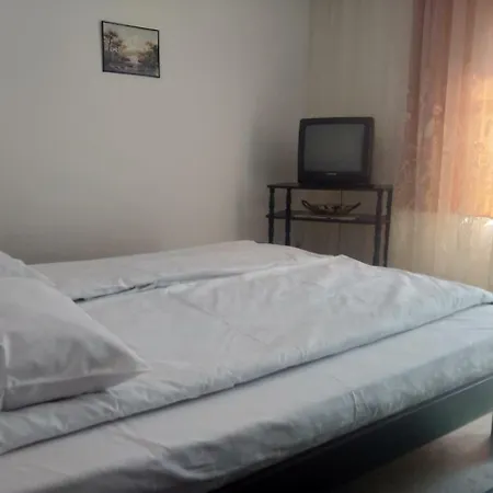 Sokobanja Apartmani Apartmán *