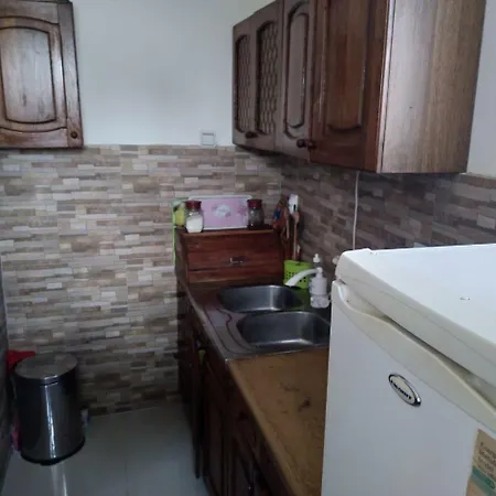 Sokobanja Apartmani Appartement *