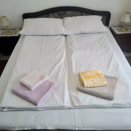 Apartment Sokobanja Apartmani *
