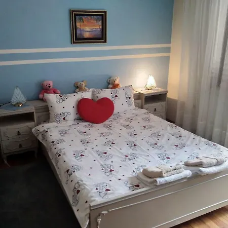 Sokobanja Apartmani Appartement *