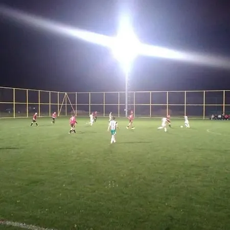 Sokobanja Apartmani Appartement *