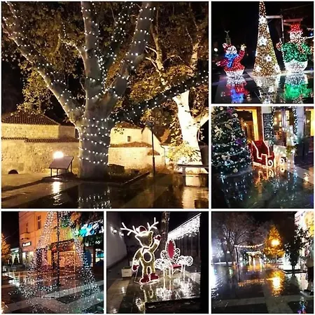 Sokobanja Apartmani Appartamento