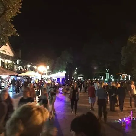 Apartmán Sokobanja Apartmani *