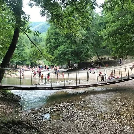 Sokobanja Apartmani *