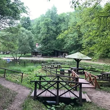 Sokobanja Apartmani *