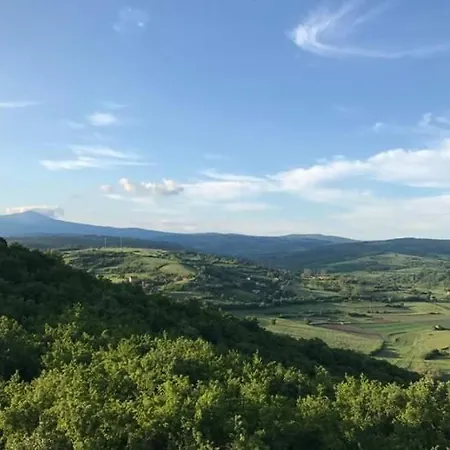 Sokobanja Apartmani Sokobanja