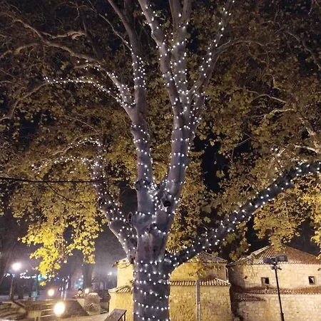 Sokobanja Apartmani Appartamento