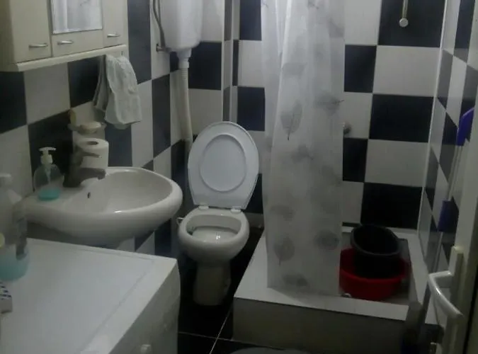 Sokobanja Apartmani アパート