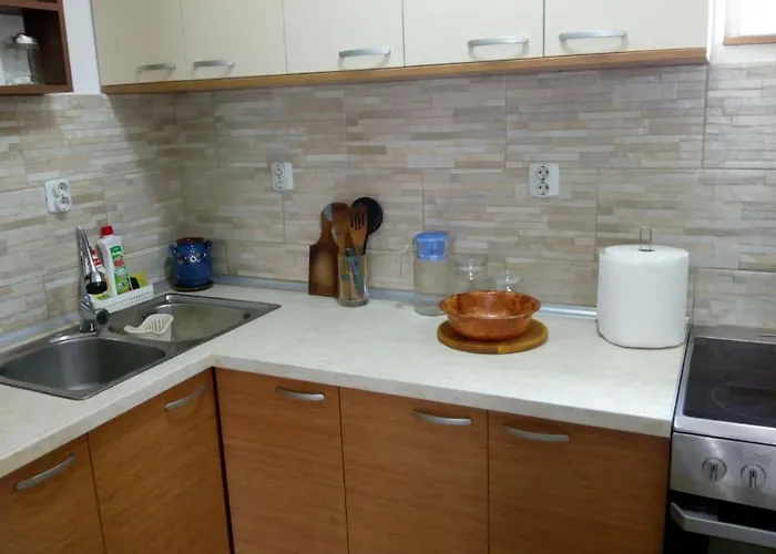 アパート Sokobanja Apartmani