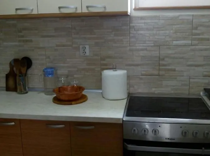 Sokobanja Apartmani アパート ソコバニャ