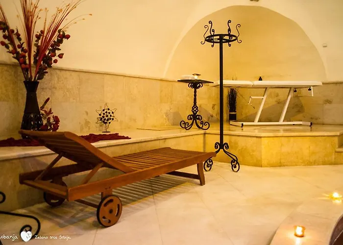 アパート Sokobanja Apartmani *