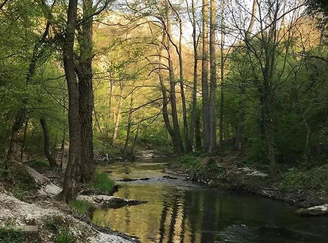 アパート Sokobanja Apartmani ソコバニャ