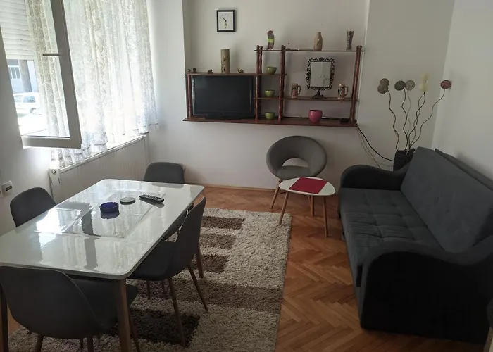 Sokobanja Apartmani アパート