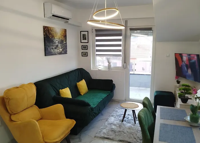 Sokobanja Apartmani *