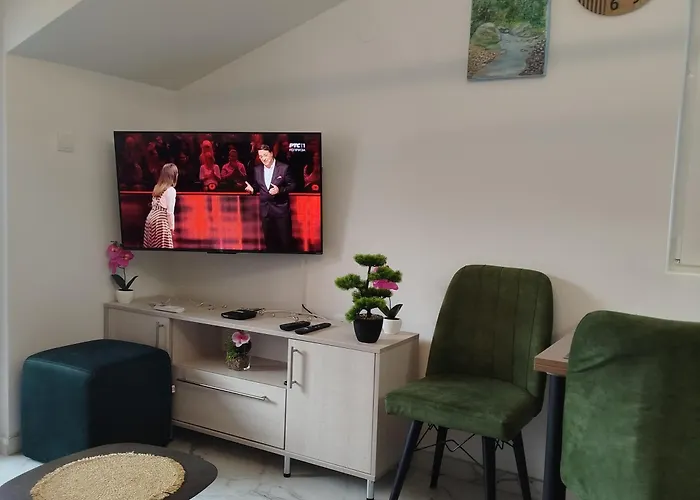 アパート Sokobanja Apartmani ソコバニャ