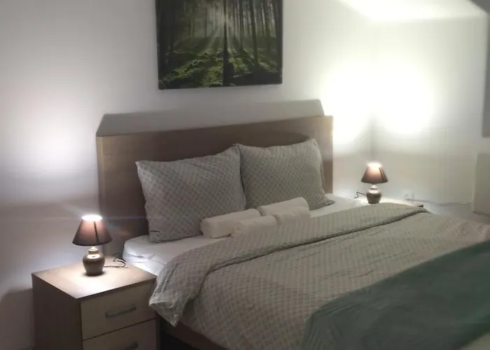 Sokobanja Apartmani アパート