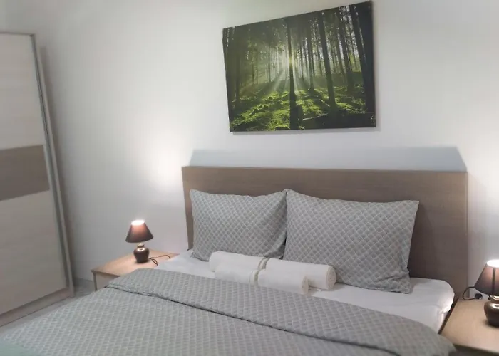 Sokobanja Apartmani アパート