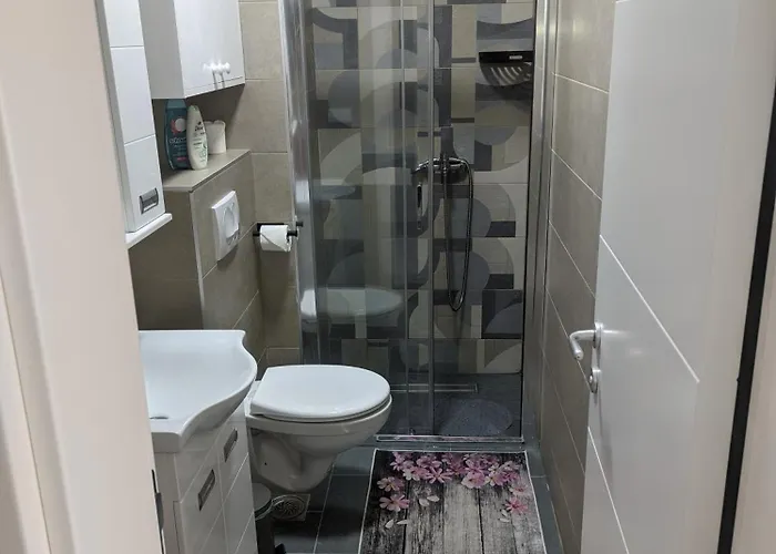 Sokobanja Apartmani アパート *