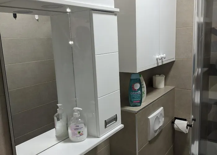 アパート Sokobanja Apartmani