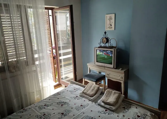 Sokobanja Apartmani アパート *