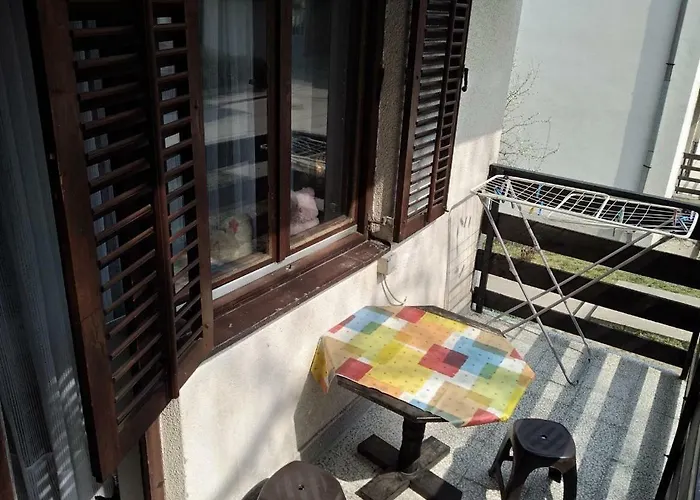 Sokobanja Apartmani アパート