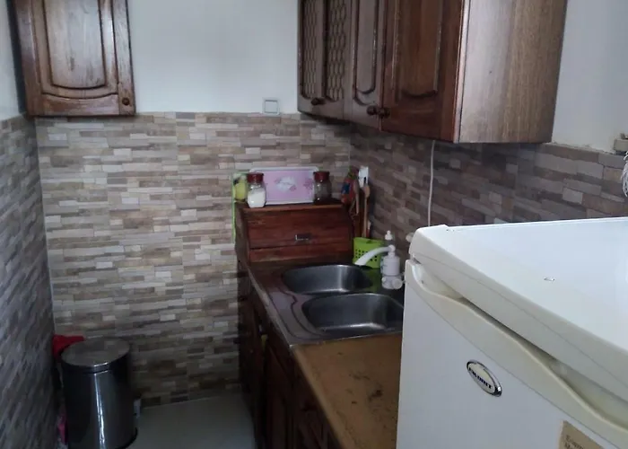 Sokobanja Apartmani アパート *