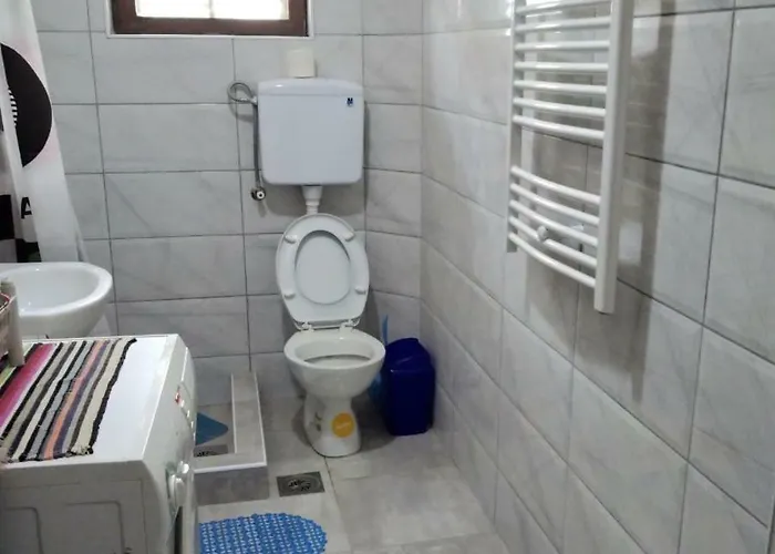 Sokobanja Apartmani アパート