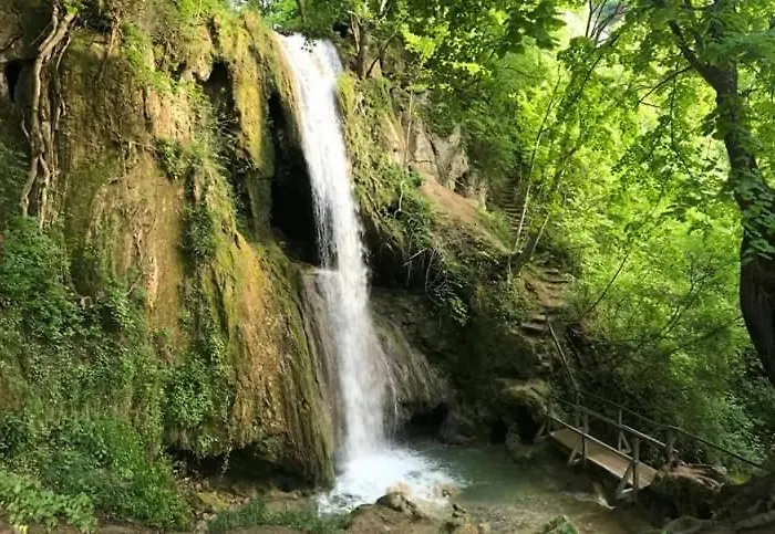 Sokobanja Apartmani アパート ソコバニャ