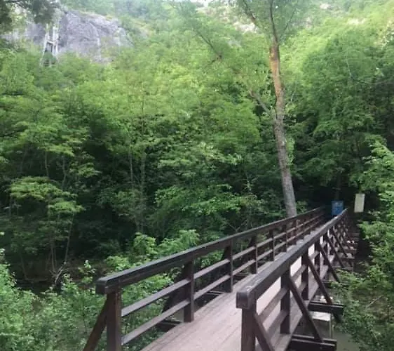 Sokobanja Apartmani * ソコバニャ