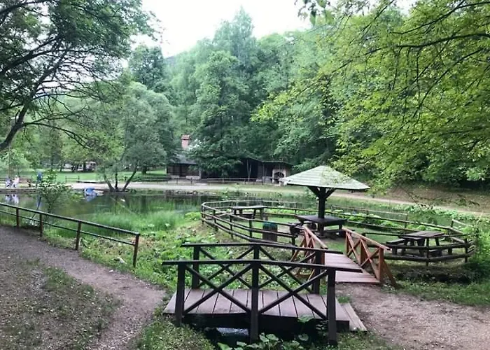 Sokobanja Apartmani *