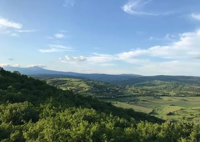 Sokobanja Apartmani ソコバニャ