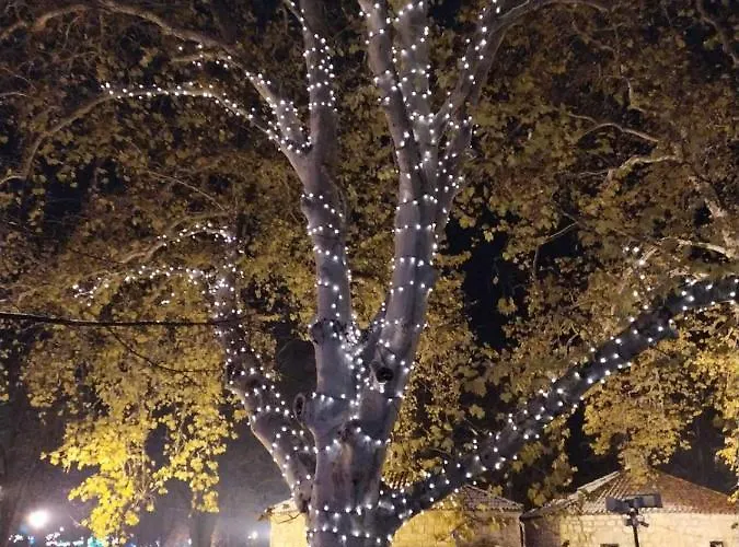 Sokobanja Apartmani アパート