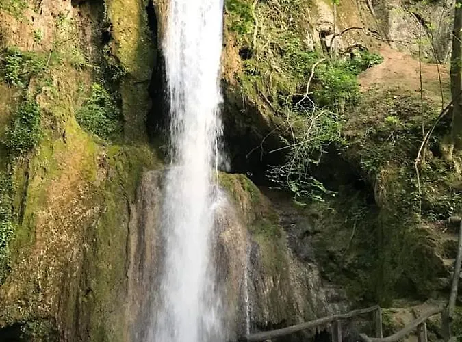 アパート Sokobanja Apartmani *